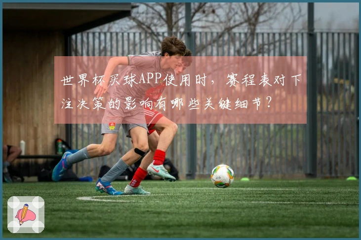 世界杯买球APP使用时，赛程表对下注决策的影响有哪些关键细节？