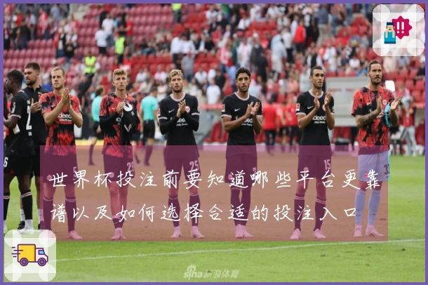 世界杯投注前要知道哪些平台更靠谱以及如何选择合适的投注入口