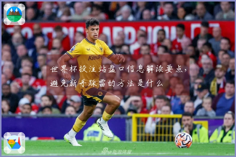 世界杯投注站盘口信息解读要点，避免新手踩雷的方法是什么