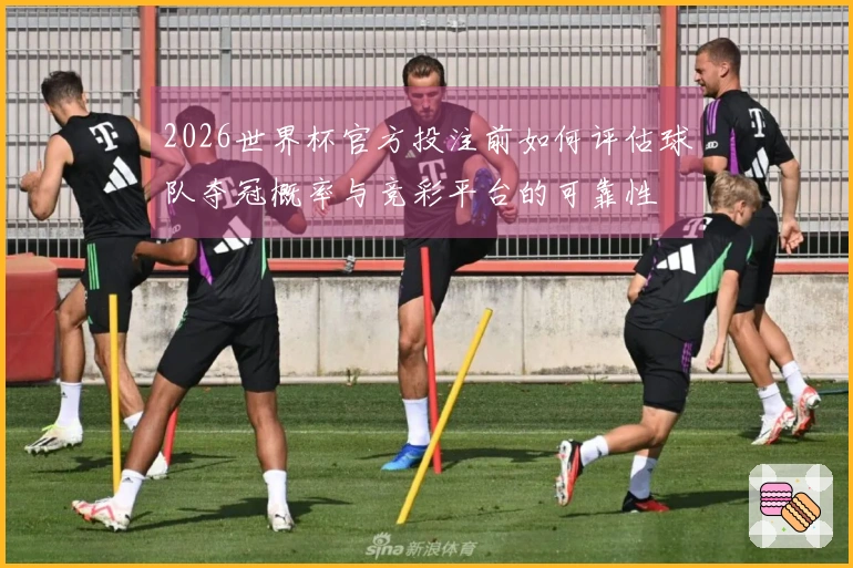 2026世界杯官方投注前如何评估球队夺冠概率与竞彩平台的可靠性