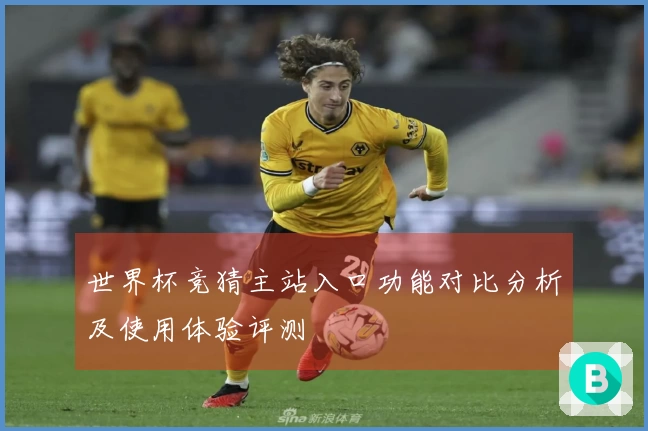 世界杯竞猜主站入口功能对比分析及使用体验评测