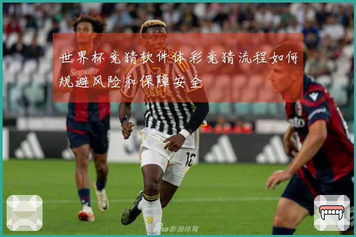 世界杯竞猜软件体彩竞猜流程如何规避风险和保障安全
