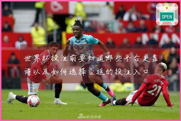世界杯投注前要知道哪些平台更靠谱以及如何选择合适的投注入口