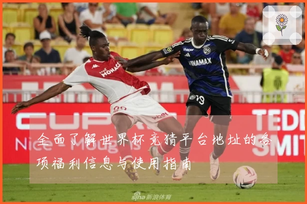 全面了解世界杯竞猜平台地址的各项福利信息与使用指南