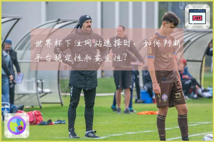 世界杯下注网站选择时，如何判断平台稳定性和安全性？
